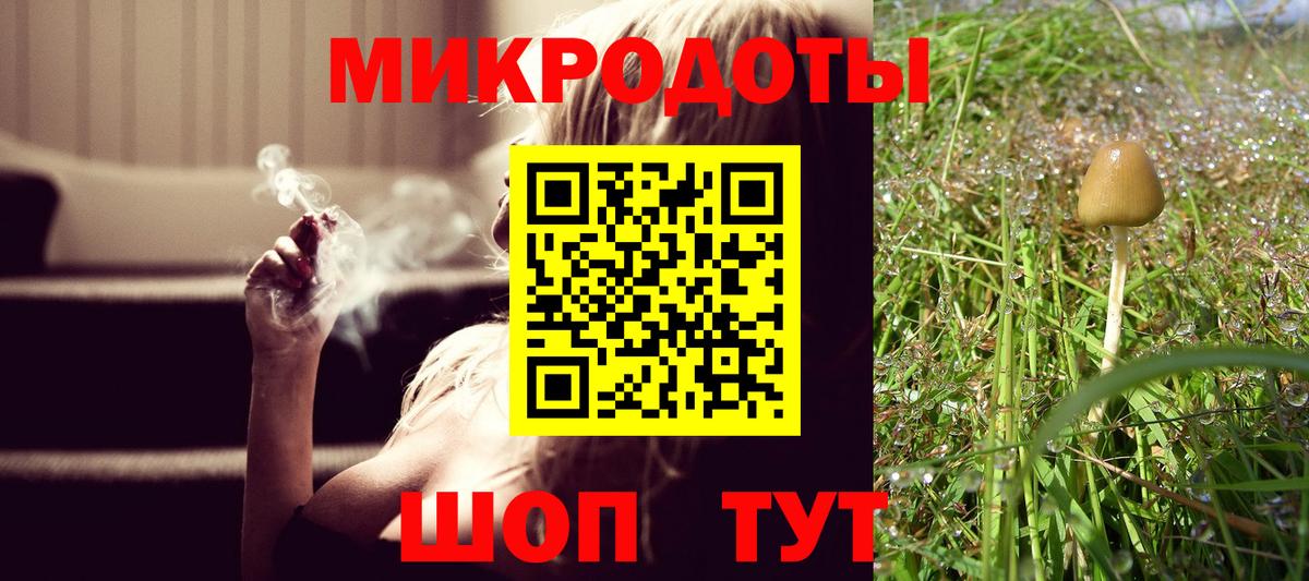 Галлюциногенные грибы Psilocybine cubensis  Вход с VPN  цена   Усть-Джегута 